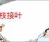 添枝接叶