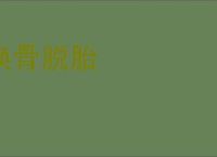 换骨脱胎