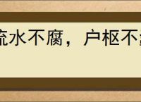 流水不腐，户枢不蠹
