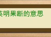 英明果断的意思
