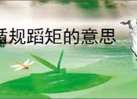 循规蹈矩的意思