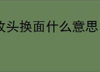 改头换面什么意思