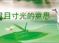 鼠目寸光的意思