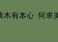 草木有本心 何求美人折