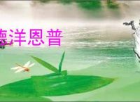 德洋恩普