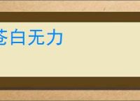 苍白无力