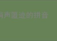销声匿迹的拼音