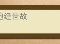 饱经世故