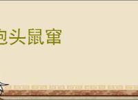 抱头鼠窜