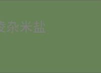 凌杂米盐