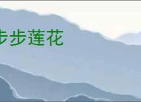 步步莲花