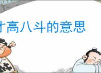 才高八斗的意思