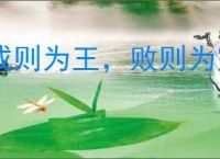 成则为王，败则为寇