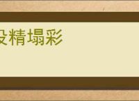 没精塌彩