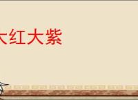 大红大紫