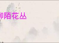 柳陌花丛