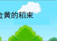 金黄的稻束
