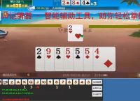 JJ记牌器 - 智能辅助工具，助你轻松掌握牌局