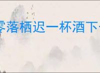 零落栖迟一杯酒下一句