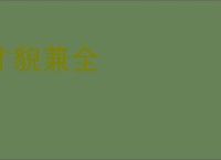 才貌兼全