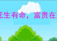 死生有命，富贵在天
