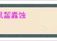 鼠齧蠹蚀