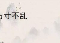 方寸不乱