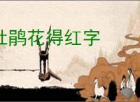 杜鹃花得红字