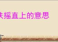 扶摇直上的意思