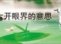 大开眼界的意思