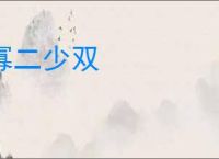 寡二少双