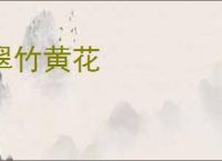 翠竹黄花