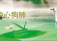 驴心狗肺