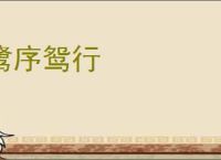 鹭序鸳行