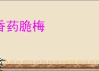 香药脆梅