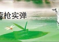 荷枪实弹