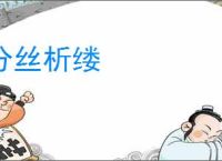 分丝析缕