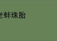 老蚌珠胎