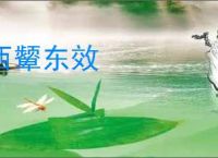 西颦东效