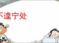 不遑宁处