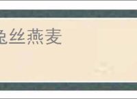 兔丝燕麦