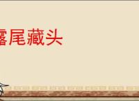 露尾藏头