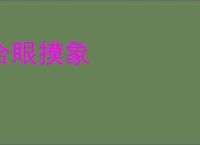 合眼摸象
