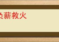 负薪救火
