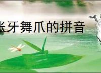 张牙舞爪的拼音
