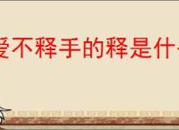 爱不释手的释是什么意思