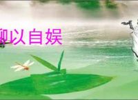 聊以自娱