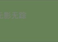 无影无踪