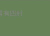 臂有四肘