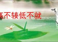 高不辏低不就